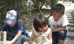 夏天什么的在线观看,在线重温那些夏天美好瞬间