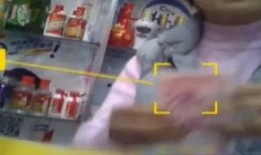 三顾茅厕爆料视频大全集,揭秘幕后真相与精彩瞬间