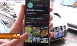 高州最新抖音爆料,揭秘当地热门事件背后的真相！”